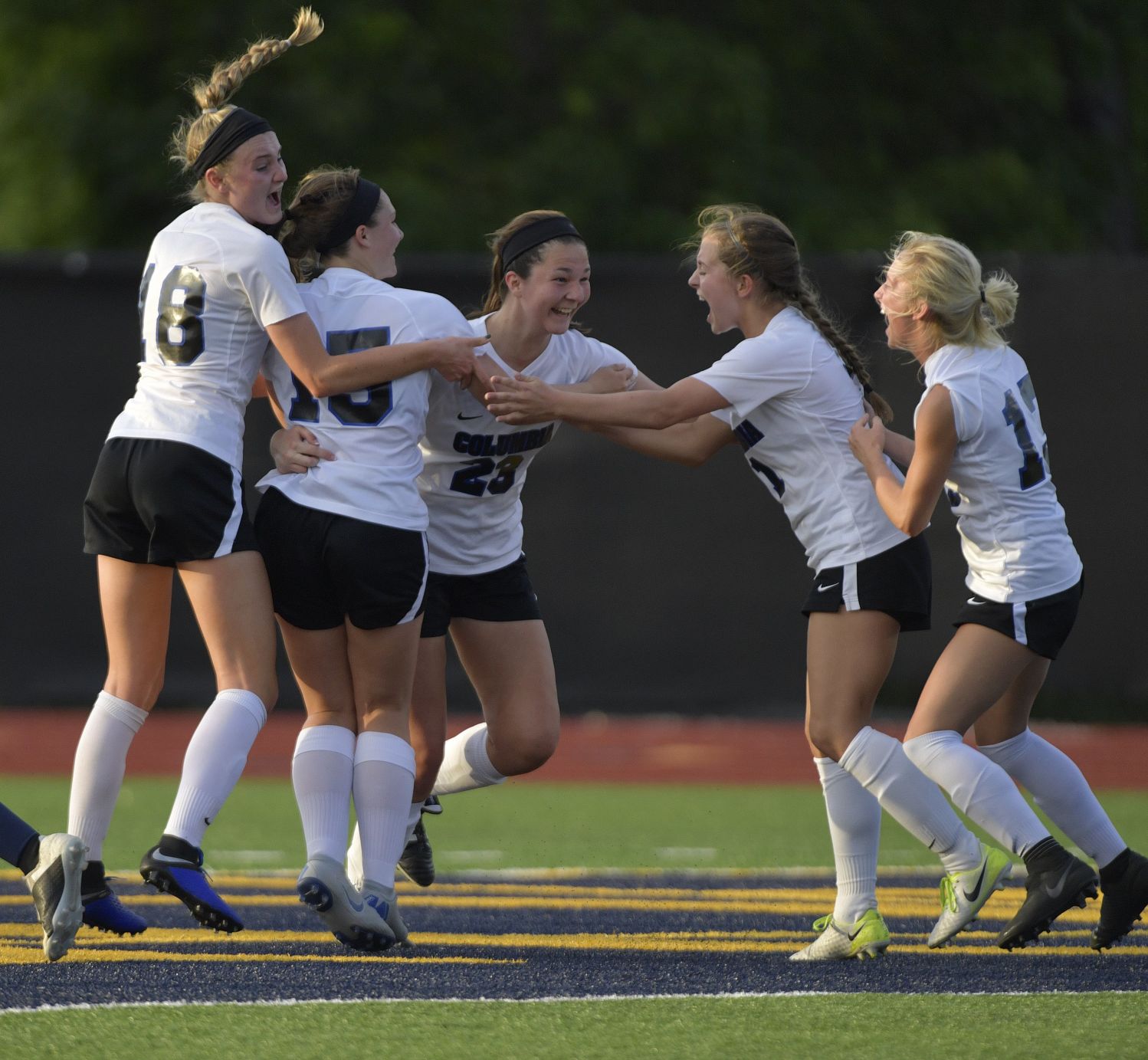 Class 1A Girls Sectional Soccer Championship